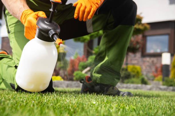 Best Local Pest Control Services  in Milan, TN