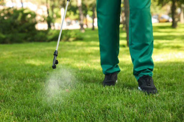 Reliable Milan, TN Pest Control Solutions